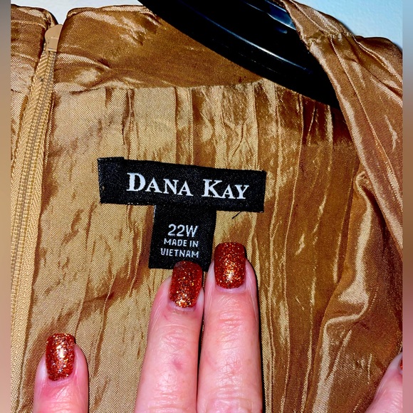 NWT Dana Kay Occasions Dress Sz 22W - Picture 2 of 6